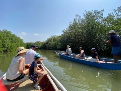 Mangrove Eco Tour & Fishing with Transportation