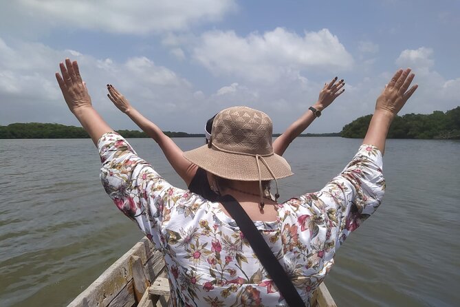 Cartagena Mangrove Private Tour - Key highlights you should care about