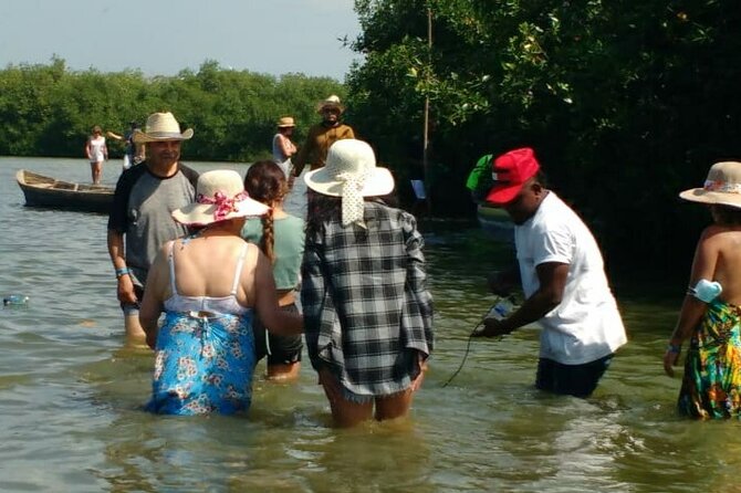 Cartagena Mangrove Private Tour - Lunch and beach time: nice add-ons, not the main event