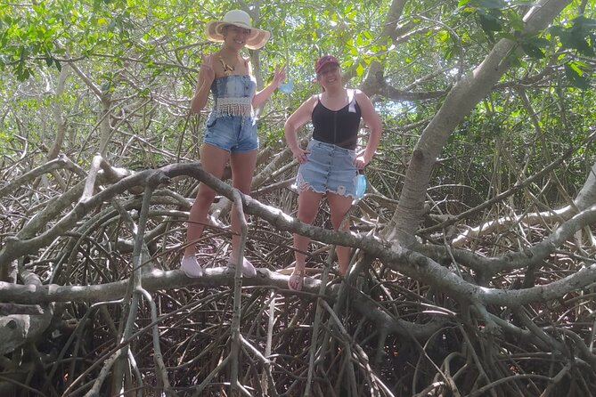 Cartagena Mangrove Private Tour - Price and value for a private $63 experience