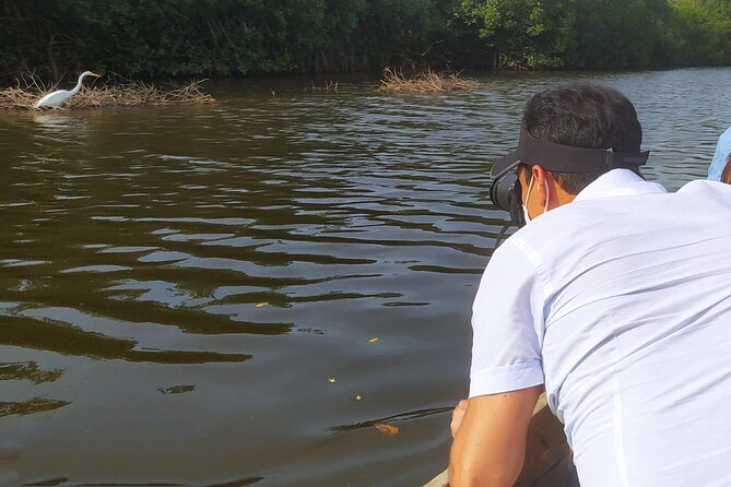 Cartagena Mangrove Private Tour - Jair and Jose guide you like locals, not a lecture