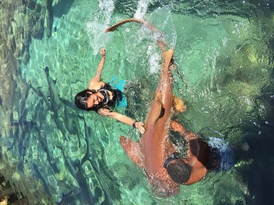 cartagena: Mucura and Santa Cruz Islands Tour spectacular - Santa Cruz del Islote: the most crowded stop and what to do there