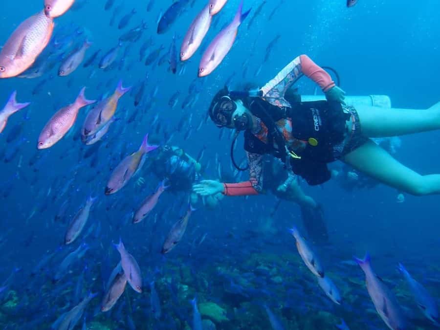Cartagena: PADI DISCOVER SCUBA / MINICURSO DE BUCEO - Barú Reefs, Close to Cartagena, Built for First Timers