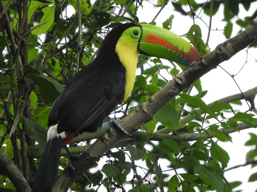 Cartagena: Private Bird-Watching Tour with Breakfast - What to Bring, What to Wear, and What to Avoid
