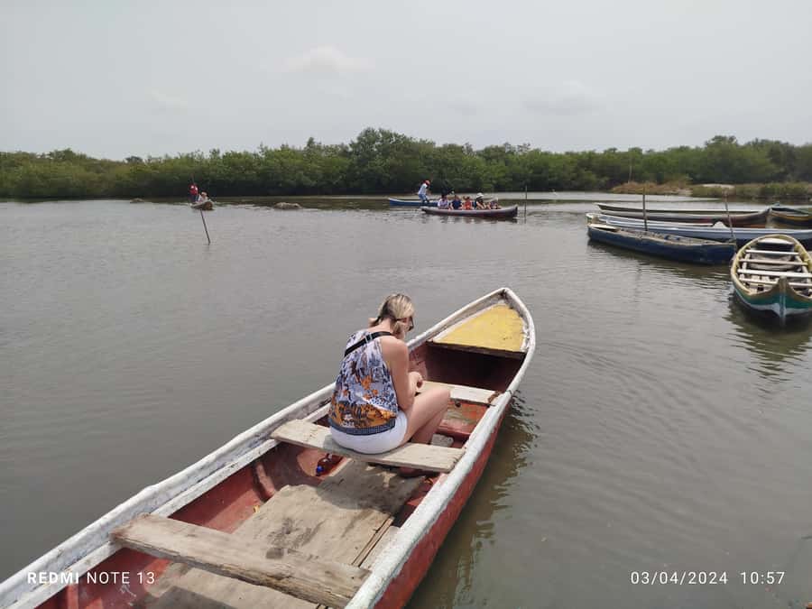 Cartagena: Private Sail in the mangrove GUIDE in ENGLISH - Should you book this Cartagena mangrove tunnel sail?