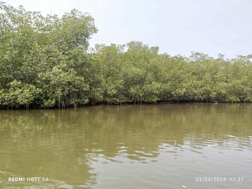 Cartagena: Private Sail in the mangrove GUIDE in ENGLISH - Guide-led context in English, plus what you’ll learn on the water