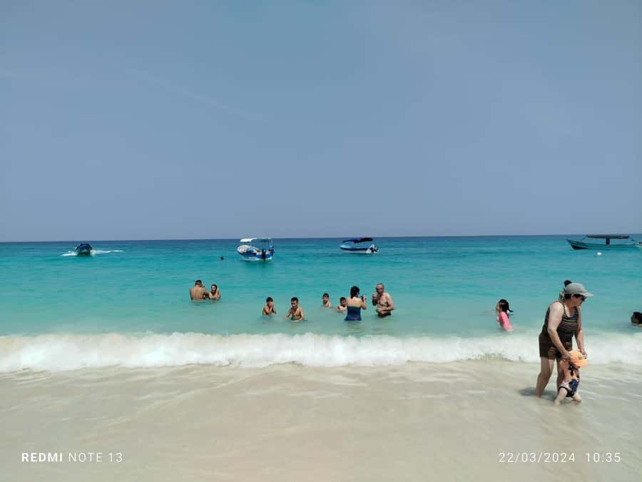 Cartagena: Raccoon Island Snorkel, Mangrove, Photos & Lunch - What to bring so you’re not miserable halfway through