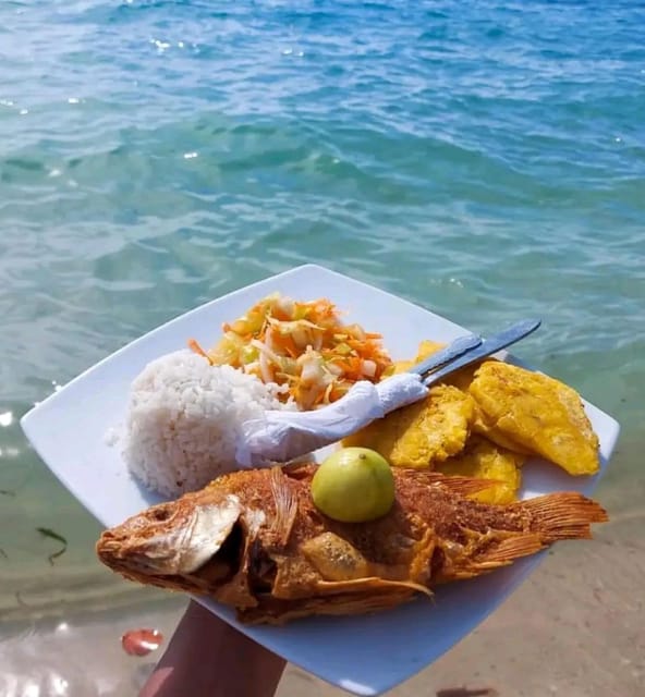 Cartagena: Raccoon Island Snorkel, Mangrove, Photos & Lunch - Mangroves, wildlife spotting, and feeding raccoons