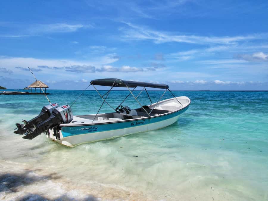 Cartagena: Rosario Island and Mangroves Private Day Trip - Who Should Book This Day Trip (And Who Might Skip It)