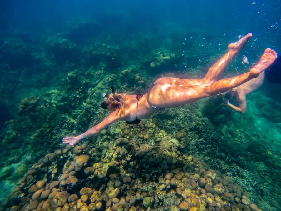 Cartagena: Rosario Islands Day Tour with Snorkel & Lunch - Speedboat Fun, Real Timing: What the Day Feels Like