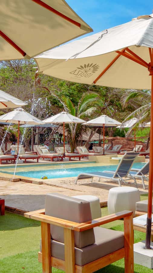Cartagena: Rosario Islands Daypass Ibbiza Island Beach Club - Lunch break done right: choice of 7 options and drink pairings