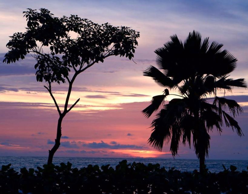 Cartagena: Rosario Islands Private Boat Tour - Who this tour fits best