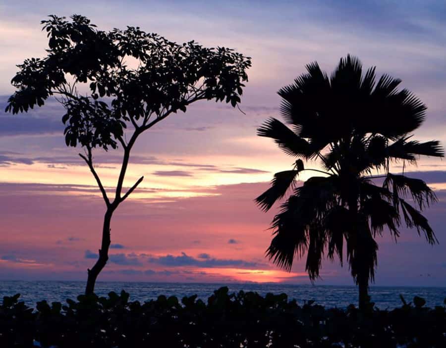 Cartagena: Rosario Islands Private Boat Tour - Cholón on the itinerary: drinks and photos on a party island