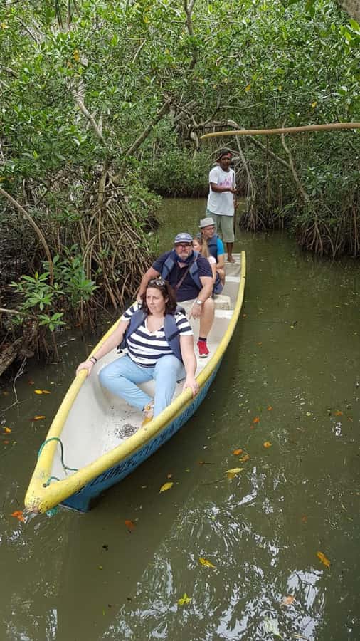 Cartagena: Sail in the mangroves of Cartagena - Cartagena Mangroves By Canoe Through 3 Tunnels In La Boquilla