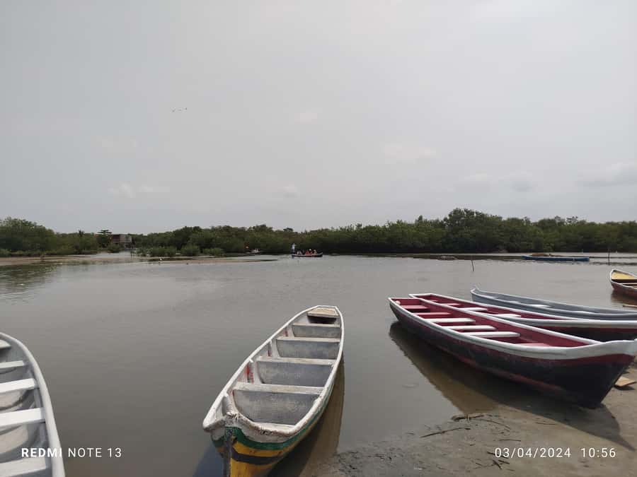 Cartagena: Sail in the mangroves of Cartagena - The Optional Pickup, And The Big One, Return To Your Hotel