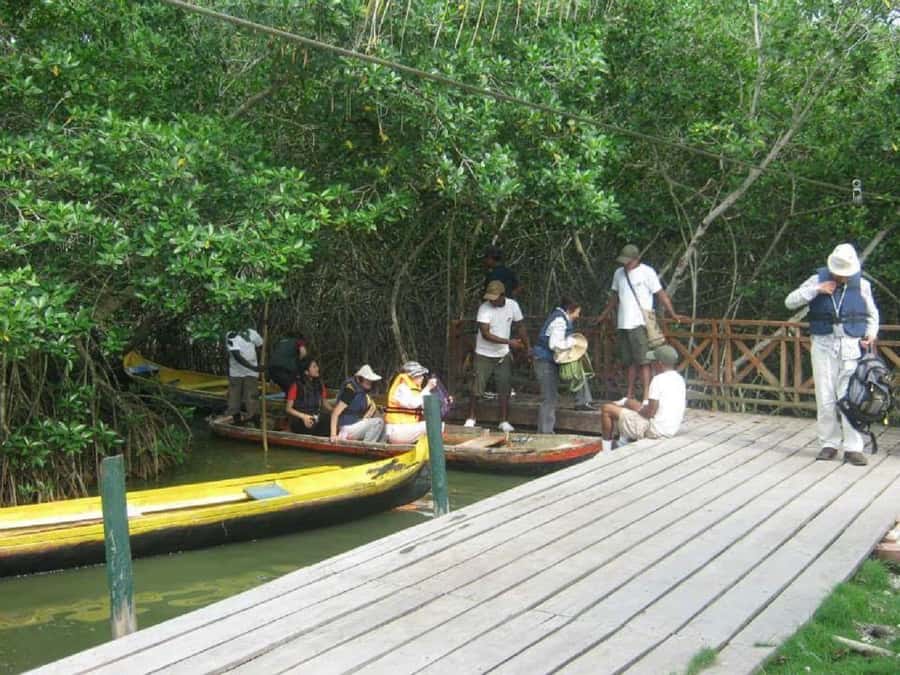 Cartagena: Sail in the mangroves of Cartagena - What To Bring, What To Skip