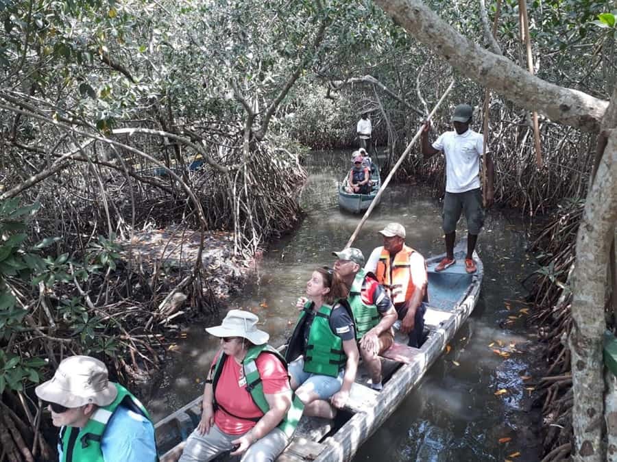 Cartagena: Sail in the mangroves of Cartagena - Your Time On The Water: 90 To 150 Minutes, With Real Tunnel Time