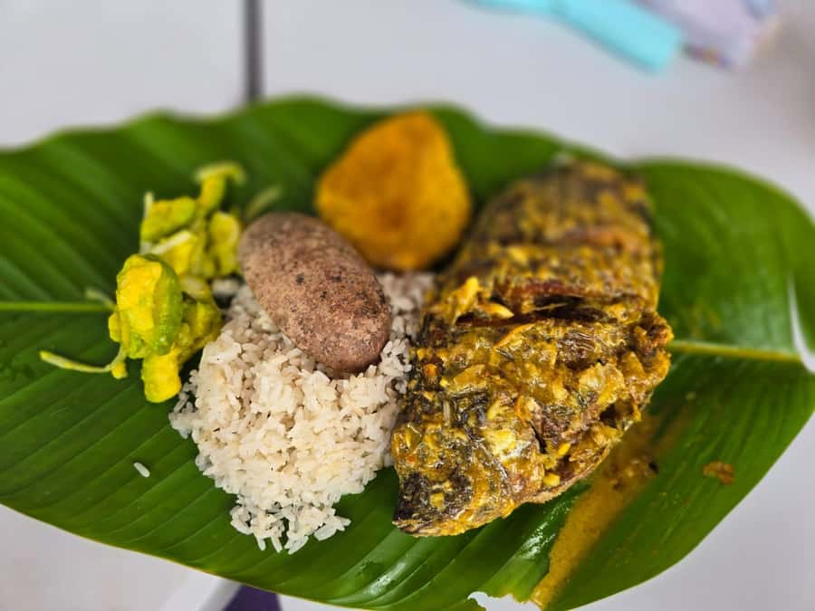 Cartagena: San Basilio de Palenque Guided Day Trip - Key highlights worth your time
