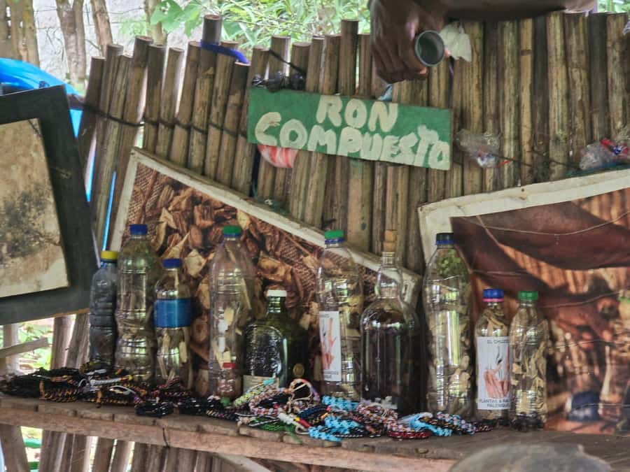 Cartagena: San Basilio de Palenque Guided Day Trip - Why San Basilio de Palenque belongs on your Cartagena itinerary