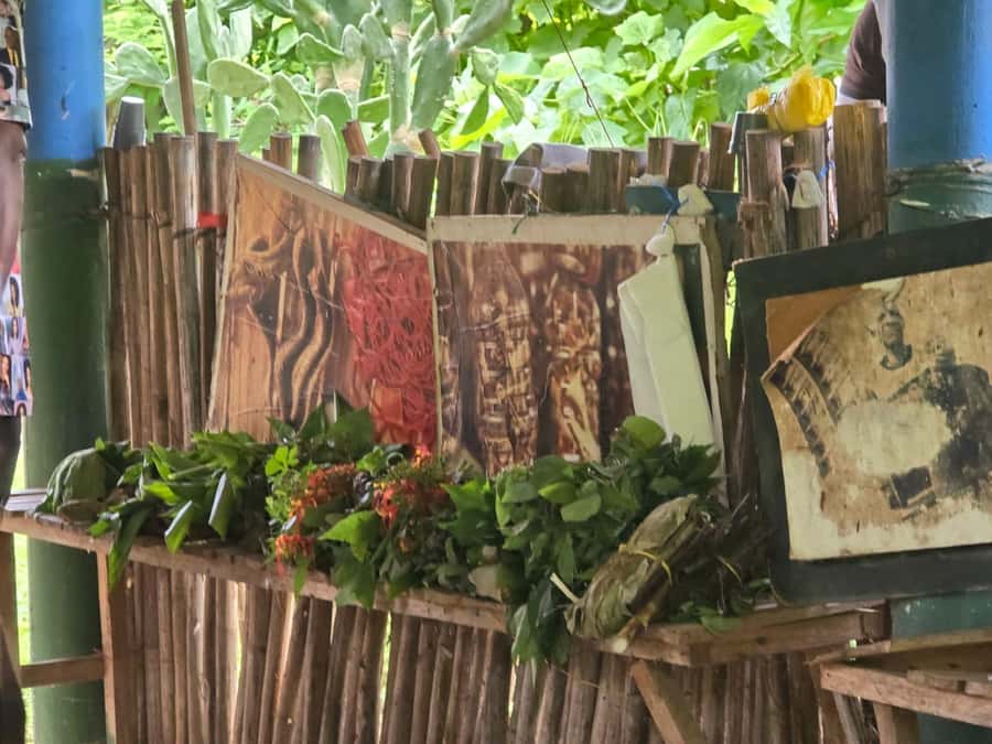 Cartagena: San Basilio de Palenque Guided Day Trip - Streets first, then context: house museum and guided tour