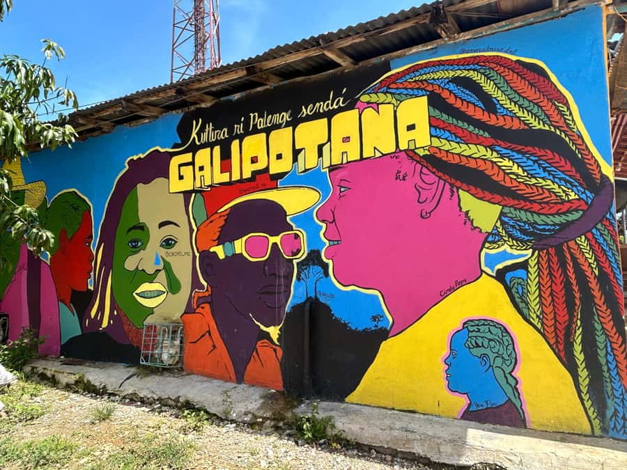 Cartagena:San Basilio de Palenque private DayTrip with Lunch - The guided walking tour: murals, homes, squares, and nooks