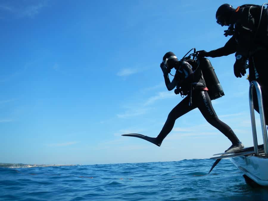 Cartagena: Scuba Diving Day Trip at Playa Blanca with Lunch - Reef time: what you get from the one-hour session