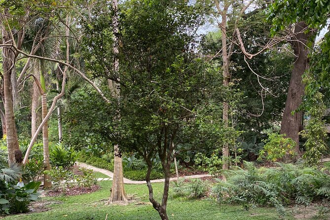 Cartagena : Sighting of fauna and flora in the botanical garden. - Botanical Trails Built for Flora, Birds, and Real Wildlife