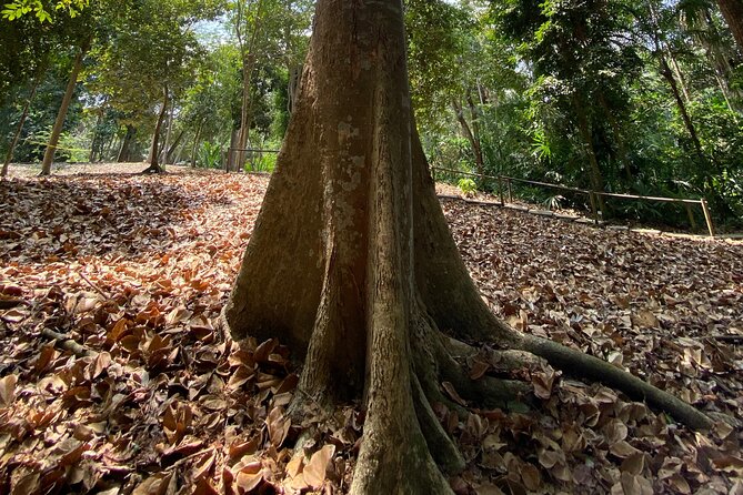 Cartagena : Sighting of fauna and flora in the botanical garden. - Price and Value for a 4.5-Hour Nature Day in Cartagena