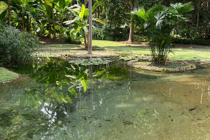 Cartagena : Sighting of fauna and flora in the botanical garden. - What to Bring: Comfort, Camera, and Pool Considerations
