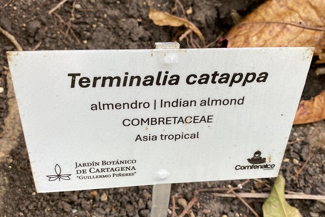 Cartagena : Sighting of fauna and flora in the botanical garden. - Should You Book This Cartagena Botanical and Lake Tour?