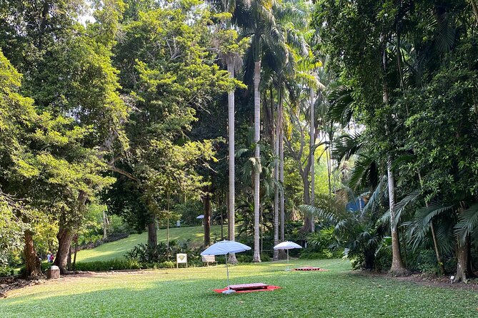 Cartagena : Sighting of fauna and flora in the botanical garden. - Lunch, Snacks, and the Food Rhythm of the Day