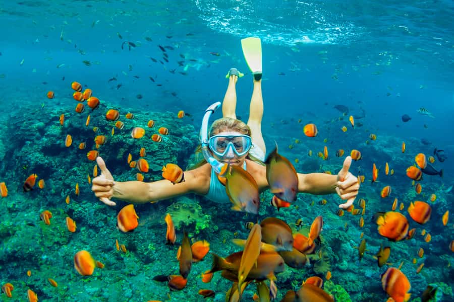 Cartagena: Snorkel, Mangroves and Playa Blanca Tour - Key highlights to know before you go