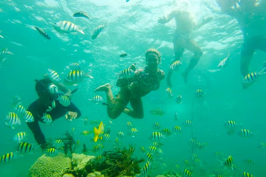 Cartagena: Snorkel, Mangroves and Playa Blanca Tour - Should you book Cartagena’s Snorkel, Mangroves and Playa Blanca Tour?