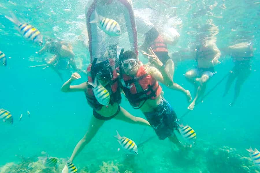 Cartagena: Snorkel, Mangroves and Playa Blanca Tour - Why this Cartagena trip mixes reef time with mangroves