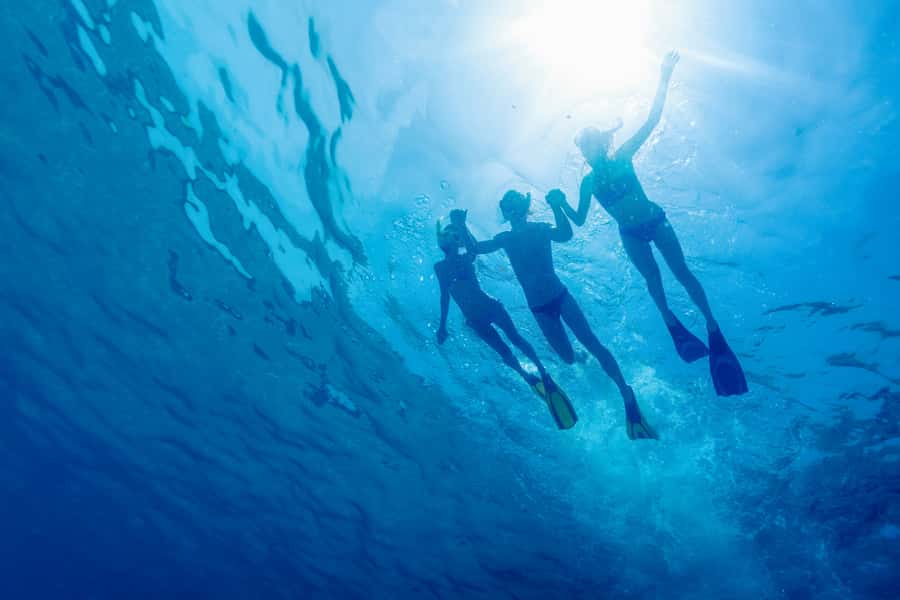 Cartagena: Snorkel, Mangroves and Playa Blanca Tour - Barú Island snorkeling: timing, gear, and what to expect underwater