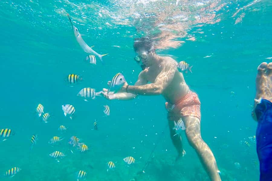 Cartagena: Snorkel, Mangroves and Playa Blanca Tour - Boat rides and comfort realities on Cartagena water