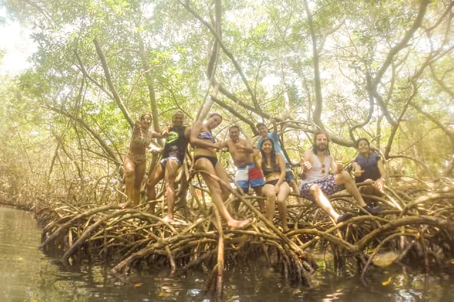 Cartagena: Snorkel, Mangroves and Playa Blanca Tour - Price and value: what you are really paying for