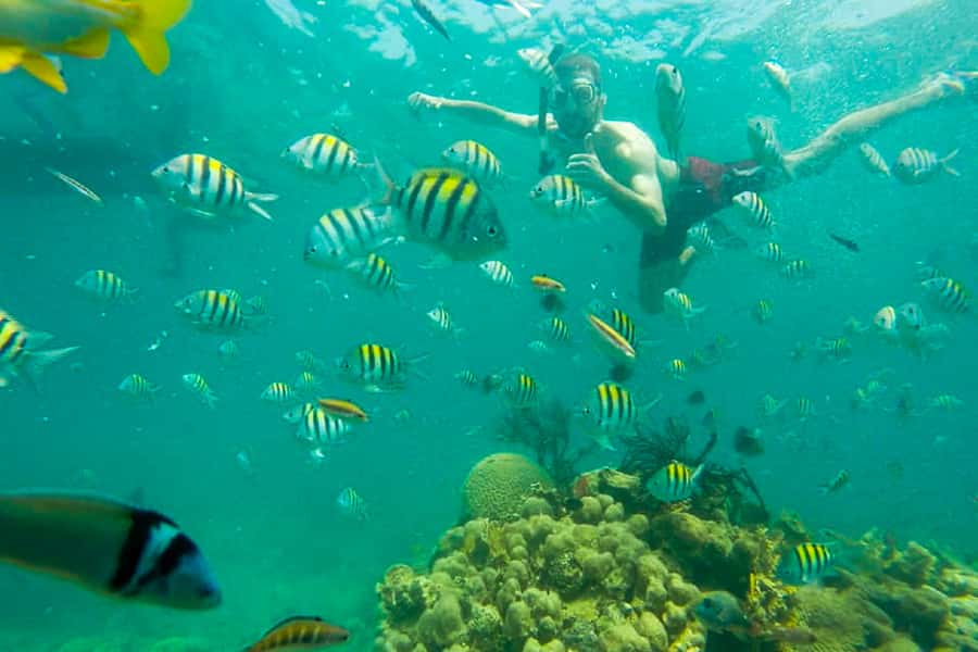 Cartagena: Snorkel, Mangroves and Playa Blanca Tour - What to bring, and the small things that improve your day