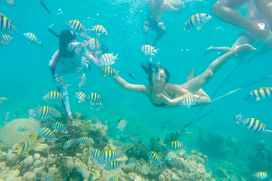 Cartagena: Snorkel, Mangroves and Playa Blanca Tour - Pickup, bus ride, and where you actually need to meet