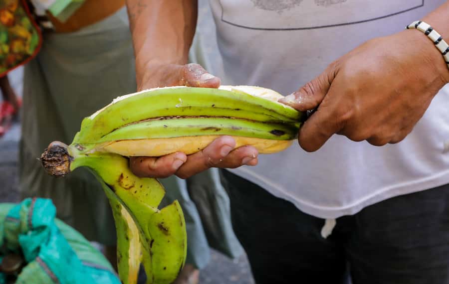 Cartagena: Street Food Walking Tour - Bakery Time in the Old City: The 30+ Year Place and Salt Meets Sweet