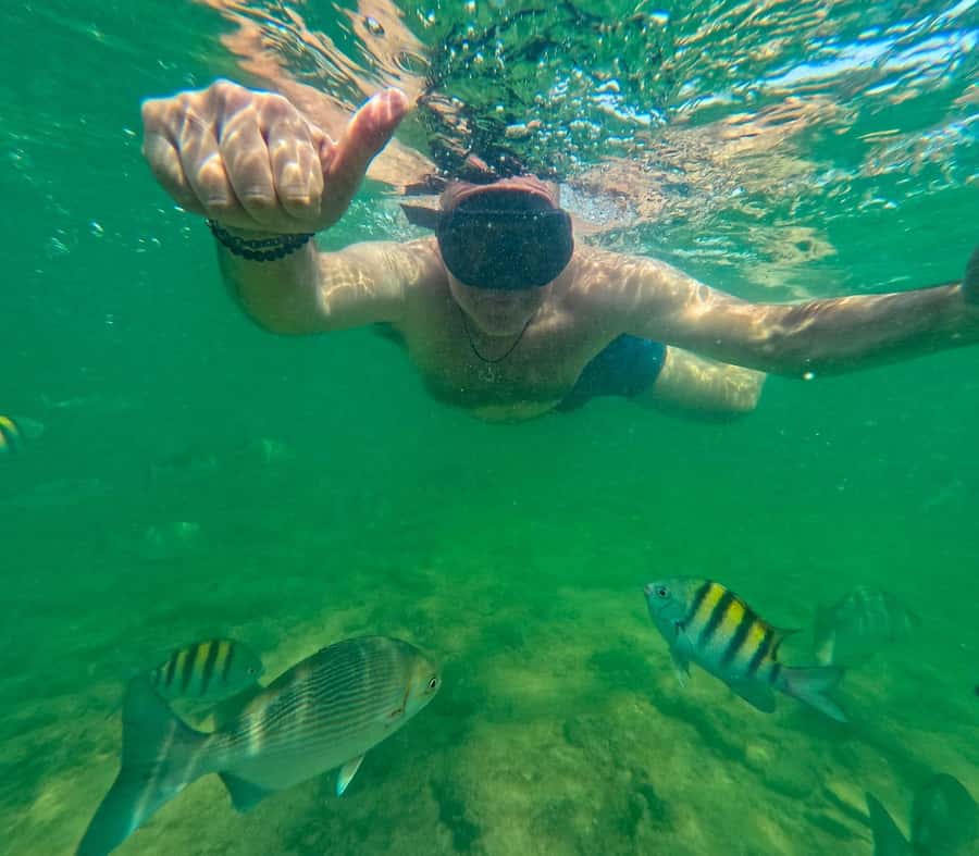 Cartagena: tour of the islands with snorkeling, lunch and plankton activity - Rosario Islands snorkeling at San Martin de Pajarales: the daytime payoff