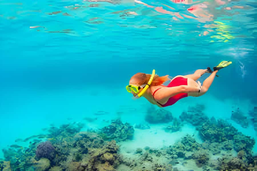 Cartagena: Tour to Playa Tranquila with Snorkeling + Luminous Plankton and Parasol - The bus and boat route: colorful Cartagena energy, plus Rosario Islands views
