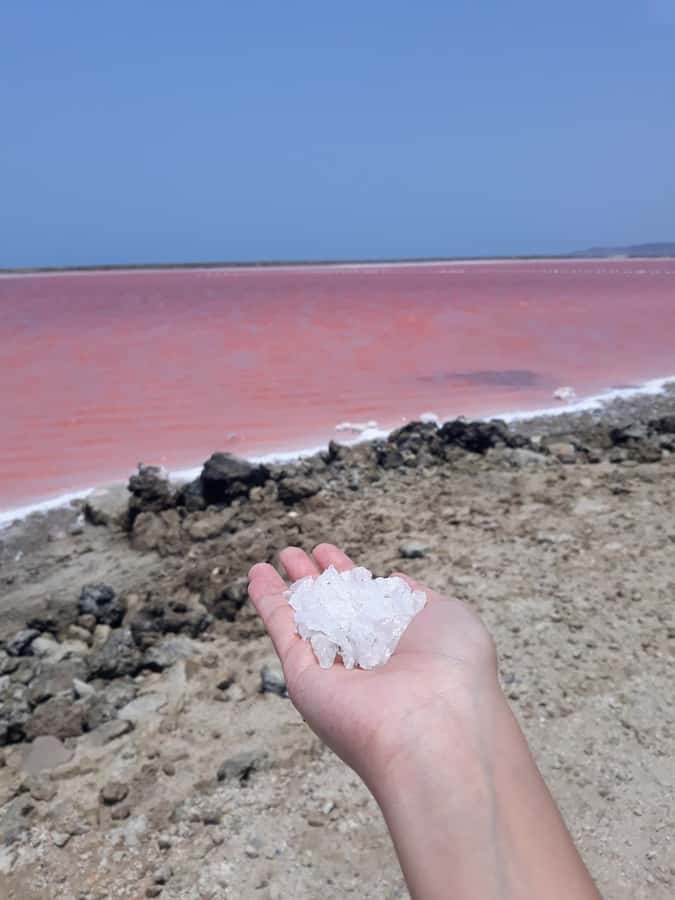 CARTAGENA: Volcan del totumo, Galerazamba and La Boquilla Mangrove Route - Salt Flats First, Then Mud, Then Mangroves: The Rhythm of the Day