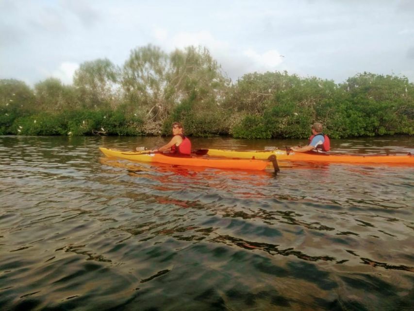 Cartagena: Walled City Kayak Tour - San Lázaro Lagoon and Mangroves Along the Sea-Facing Wall