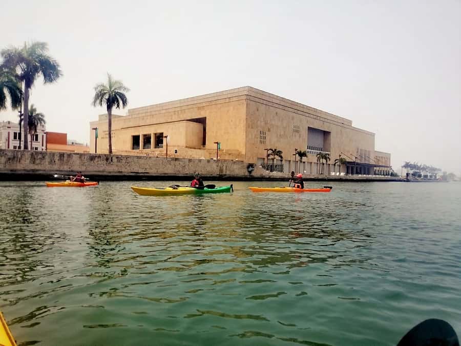 Cartagena: Walled City Kayak Tour - Bird’s Island: The Wildlife Moment That Makes the Trip Stick