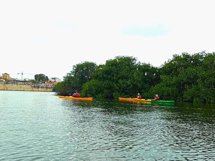 Cartagena: Walled City Kayak Tour - What to Bring So You Enjoy Every Minute