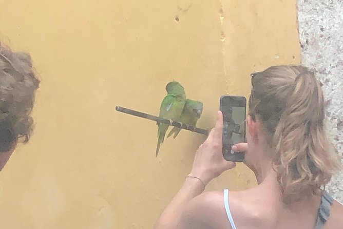 Cartagena Welcome Tour with Airport Transfer - Value for $65: What You Really Pay For