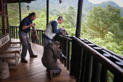 Chicaque Cloud Forest Birding & Birdwatching – Half day