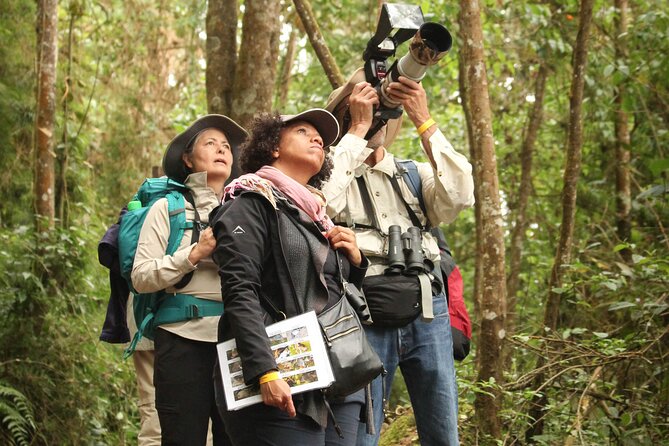 Chicaque Cloud Forest Birding & Birdwatching - Half day - Tools you get, tools you rent, and how to plan what to carry