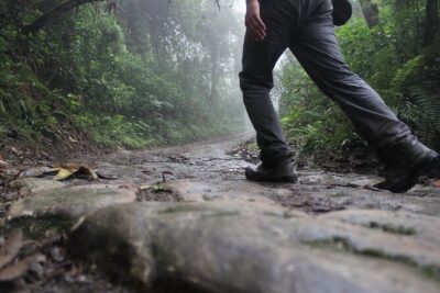 Chicaque Cloud Forest Hike – 4 hours